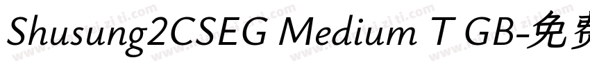 Shusung2CSEG Medium T GB字体转换